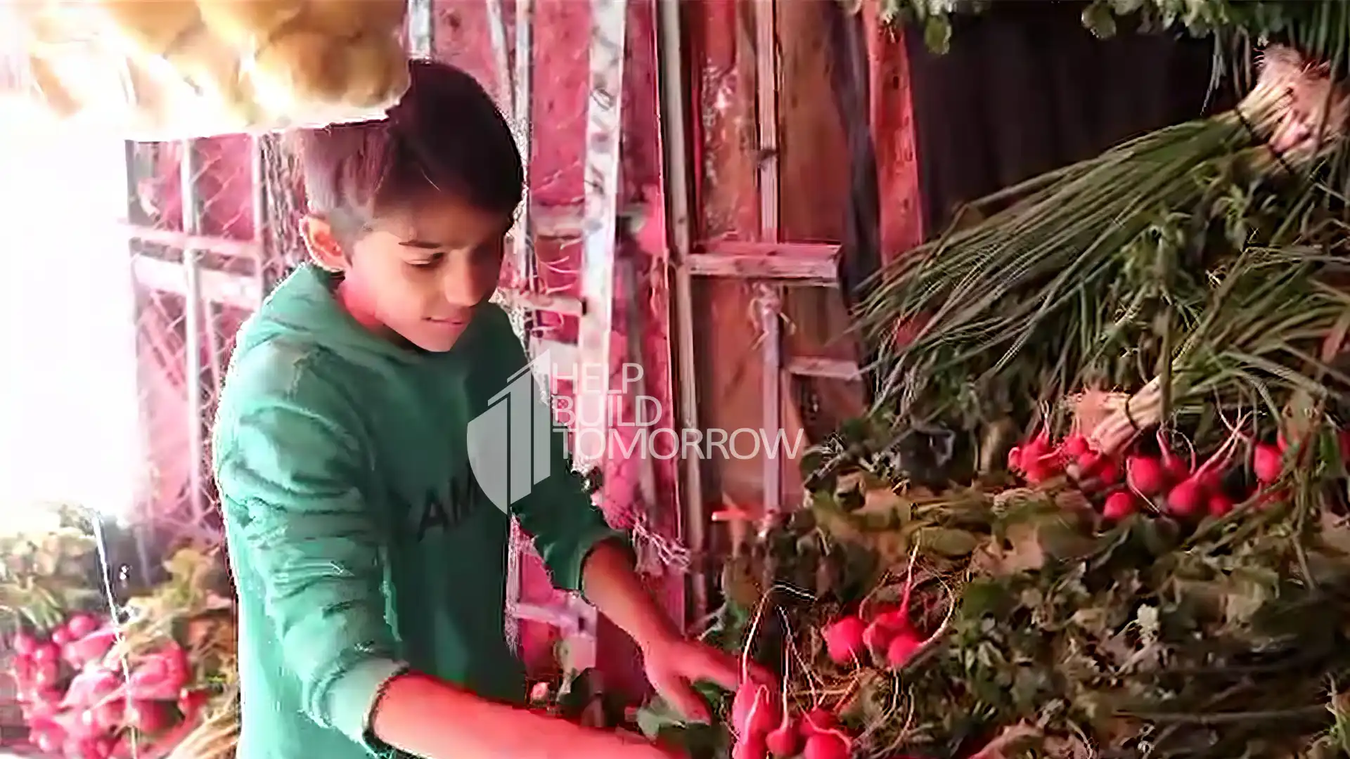 Basit working in a green grocery due to poverty